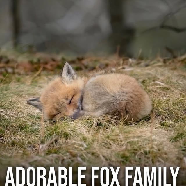  .....ervor   'recent posts' 