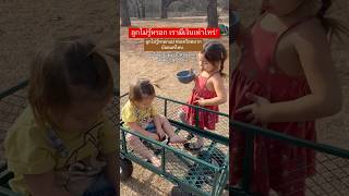  ...............มียฝรั่งไดอารี่  'recent videos' 