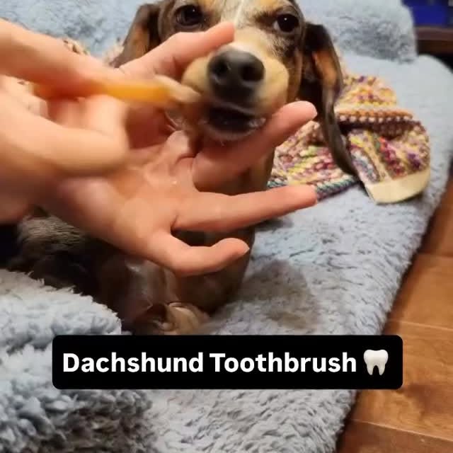  ..........fan.club_   'recent posts' 