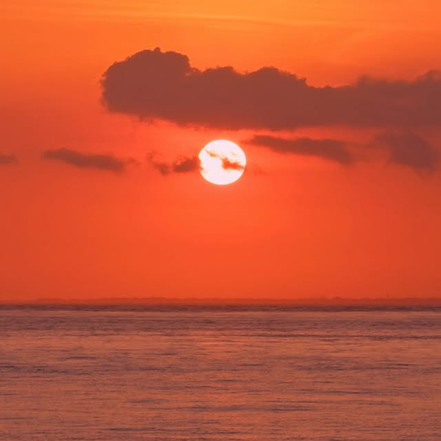  .....horpe   'recent posts' 