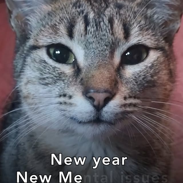  .......dstories   'recent posts' 