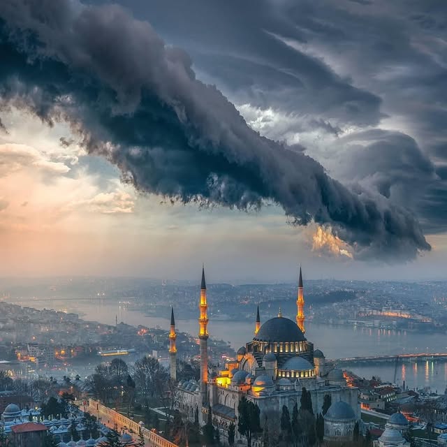  .......rfervor   'recent posts' 