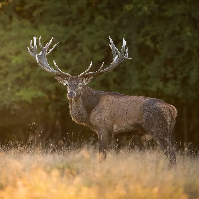  ..........discoverer   'recent posts' 