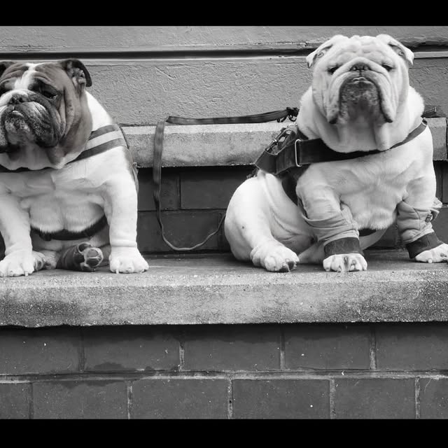  ......rwhite   'recent posts' 