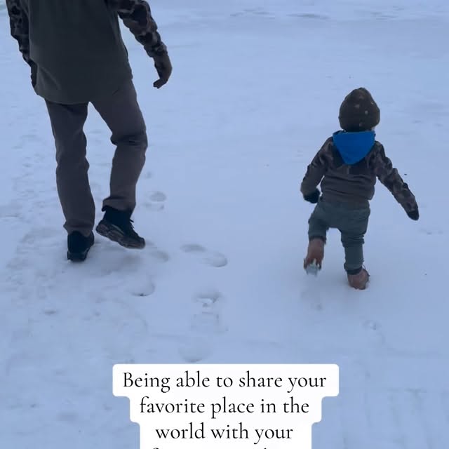  ......paulson   'recent posts' 