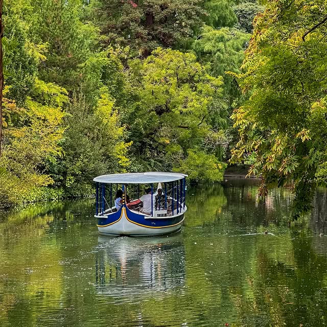  .....serraa   'recent posts' 