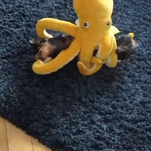  ..........fan.club_   'recent posts' 