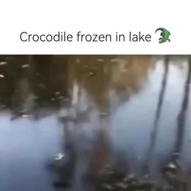  ..spd   'recent posts' 