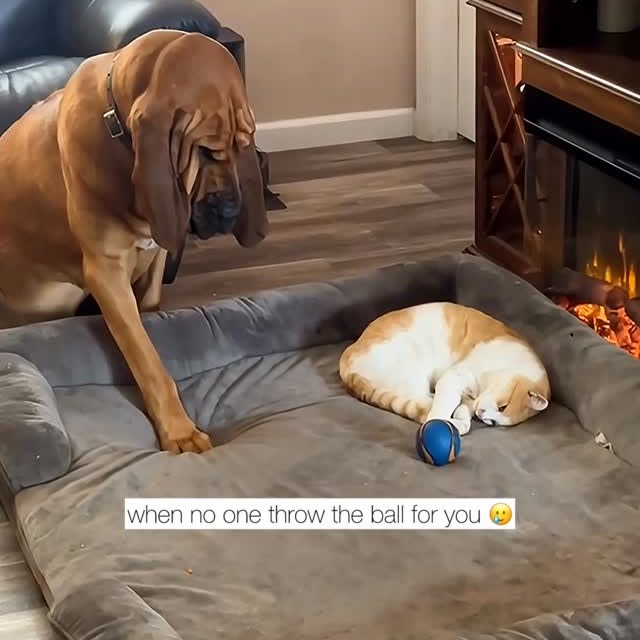  ........malsgram   'recent posts' 