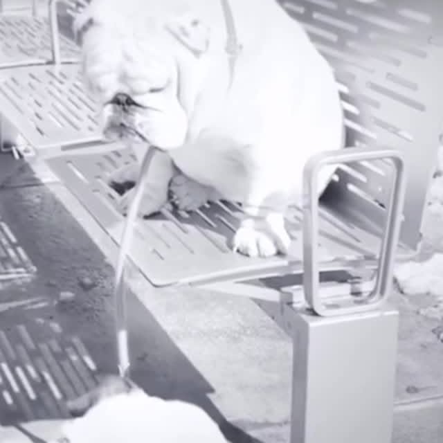  ......rwhite   'recent posts' 