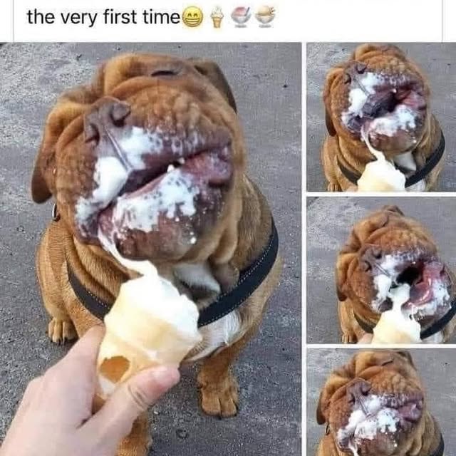  .......ndrulzz   'recent posts' 