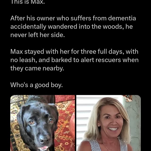  ............ttheinternet   'recent posts' 