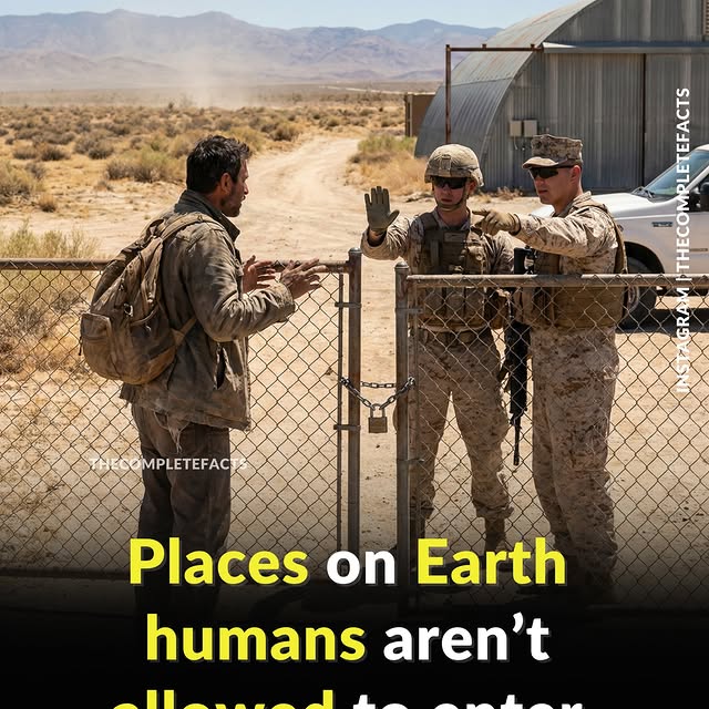  ........etefacts   'recent posts' 