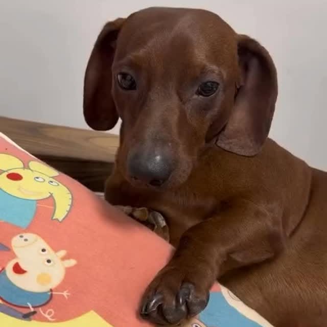  ..........fan.club_   'recent posts' 