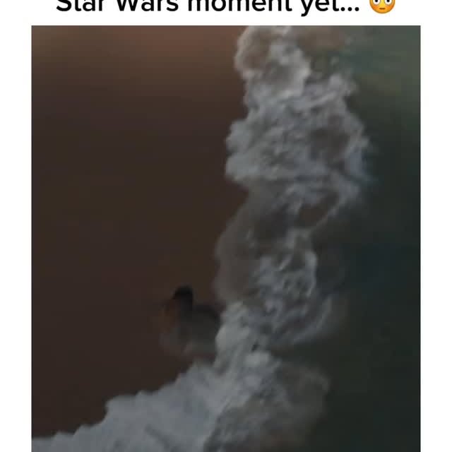  ........rmedshow   'recent posts' 