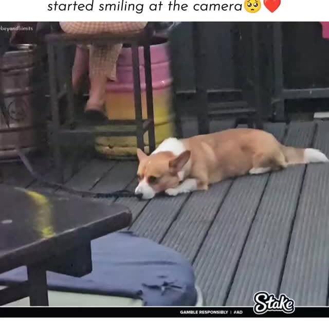  ......liimits   'recent posts' 