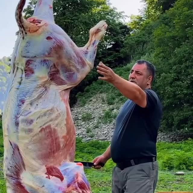  ........_culture_   'recent posts' 