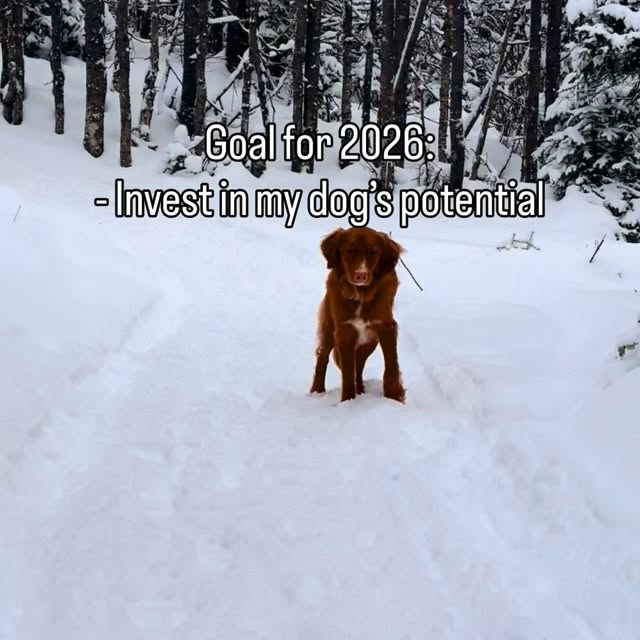  ......atoller   'recent posts' 