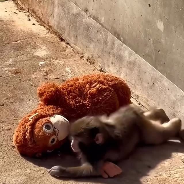  ...urre   'recent posts' 