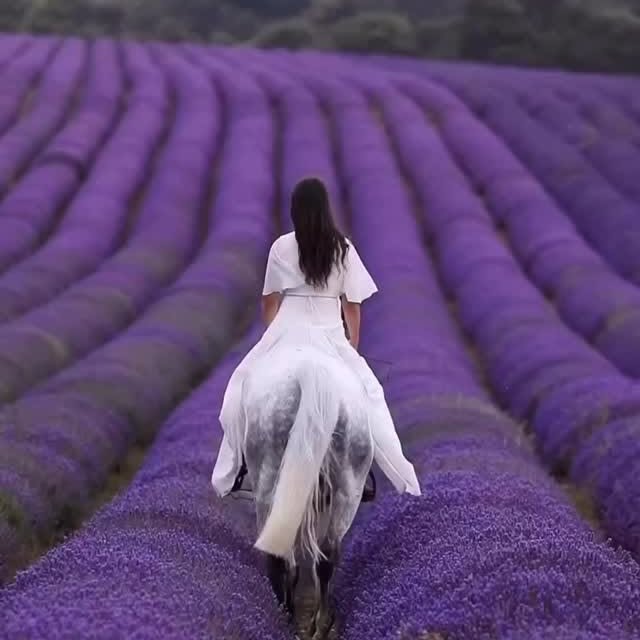  ..........discoverer   'recent posts' 