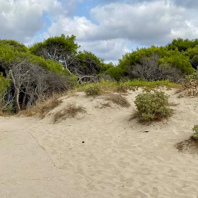  ........eise.blog   'recent posts' 