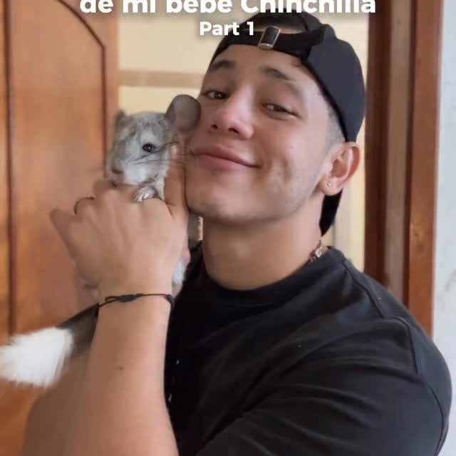  ........del_exito   'recent posts' 