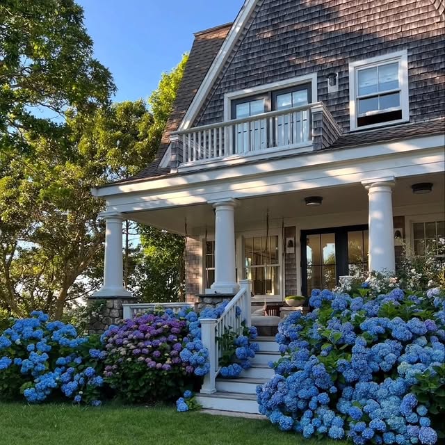  ............medecoration   'recent posts' 