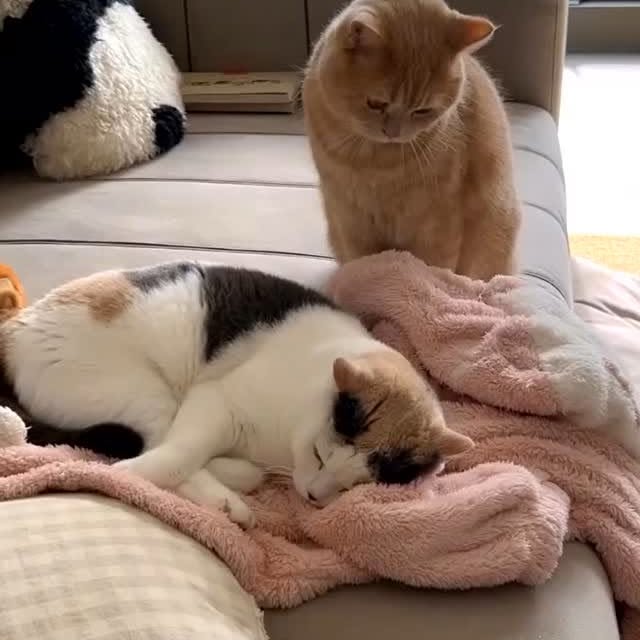  ......e.hacks   'recent posts' 