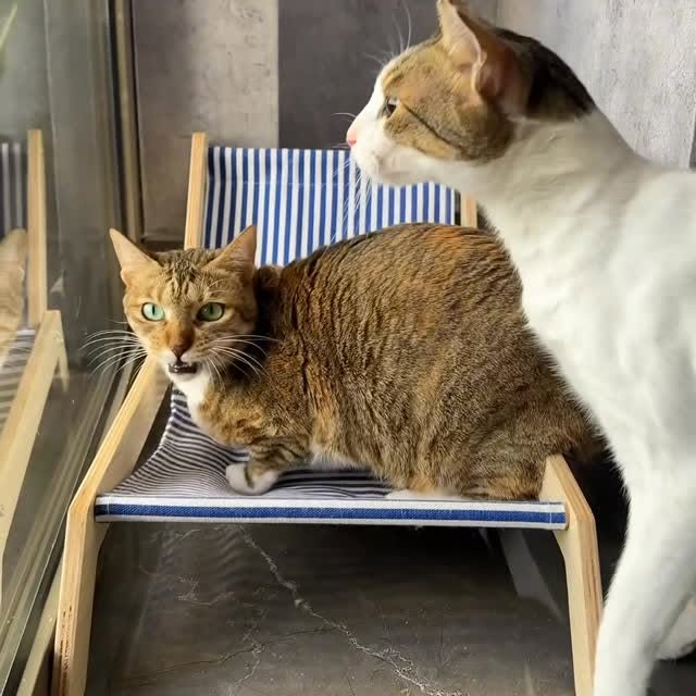  ......kekkek   'recent posts' 