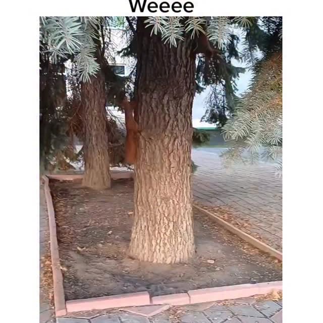  ..obe   'recent posts' 