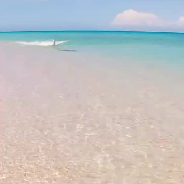  .........arkattacks   'recent posts' 