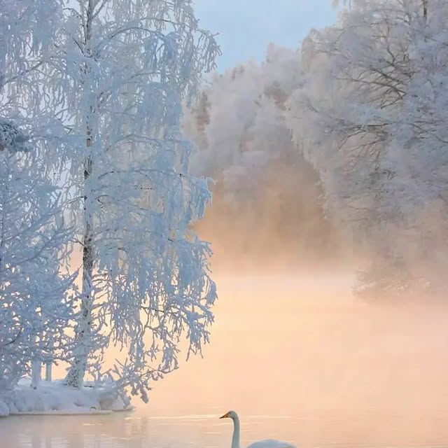  ......inside   'recent posts' 