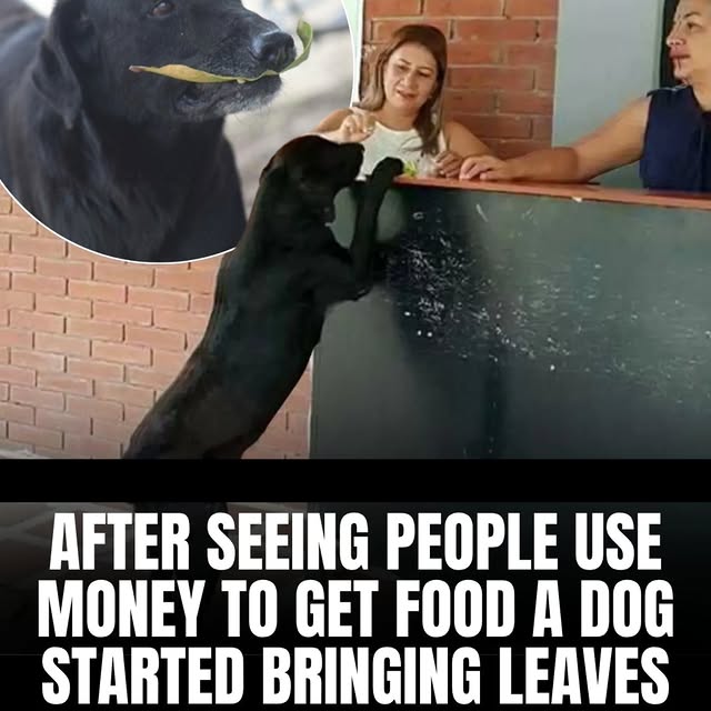  .......s.global   'recent posts' 