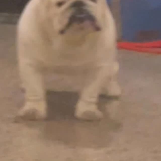  ......rwhite   'recent posts' 