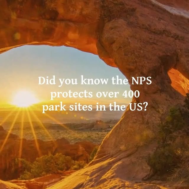  .......e.memes   'recent posts' 