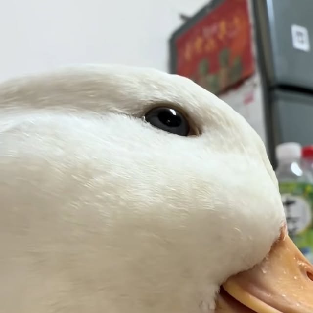  ........ckstatue   'recent posts' 