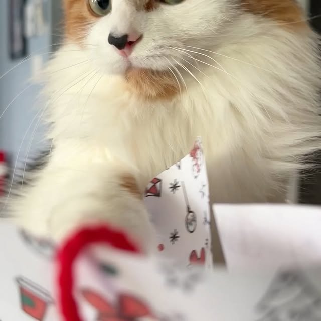  .........tofficial   'recent posts' 