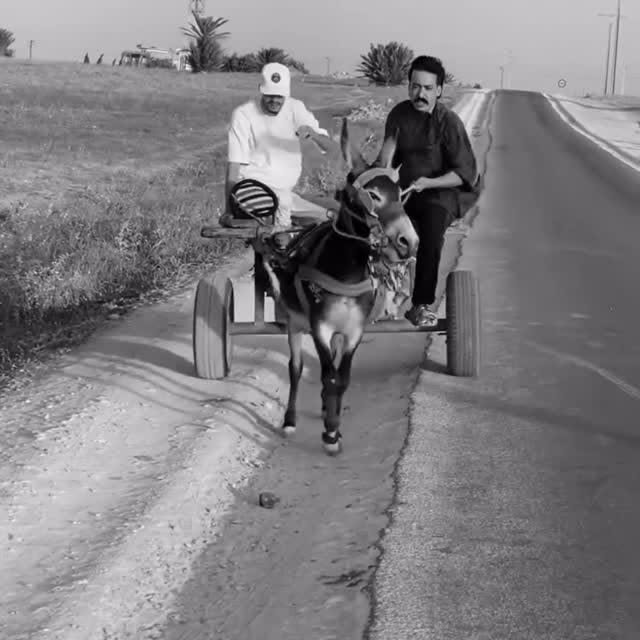  ......ghribe   'recent posts' 