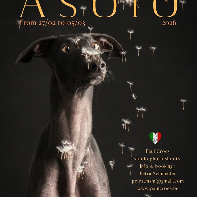  ..........hotography   'recent posts' 