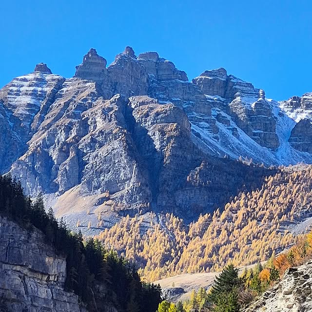  .........rancaises   'recent posts' 