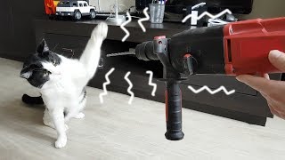  ....usic  'recent videos' 