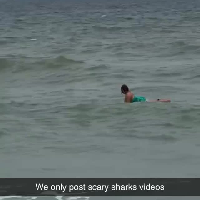  .........arkattacks   'recent posts' 