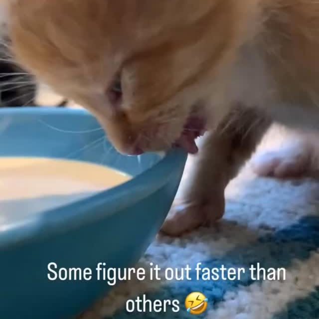  ...........irtonguesout   'recent posts' 