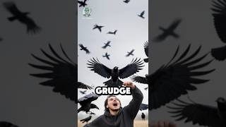  .....azify  'recent videos' 