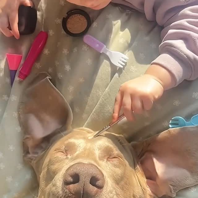  ........malsgram   'recent posts' 