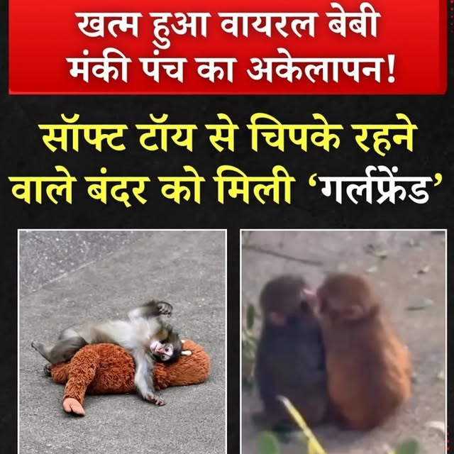  ......ustbin   'recent posts' 