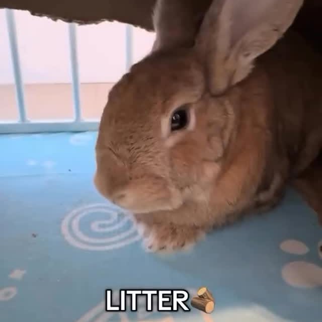  .......inheart   'recent posts' 