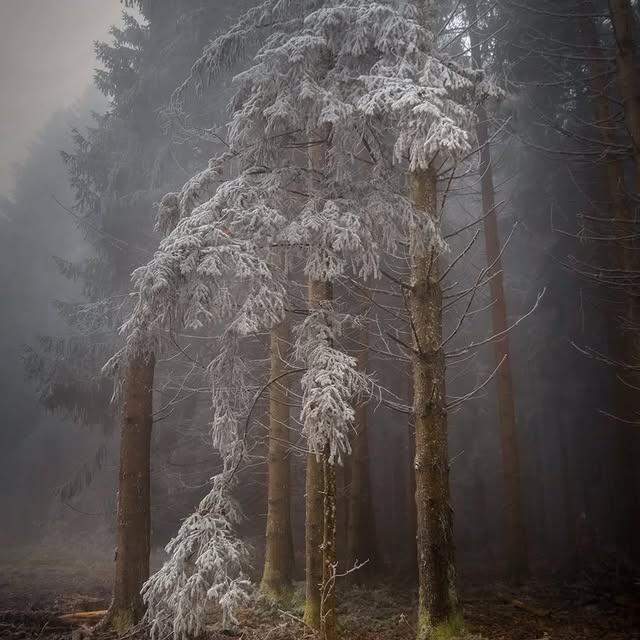  ..........discoverer   'recent posts' 