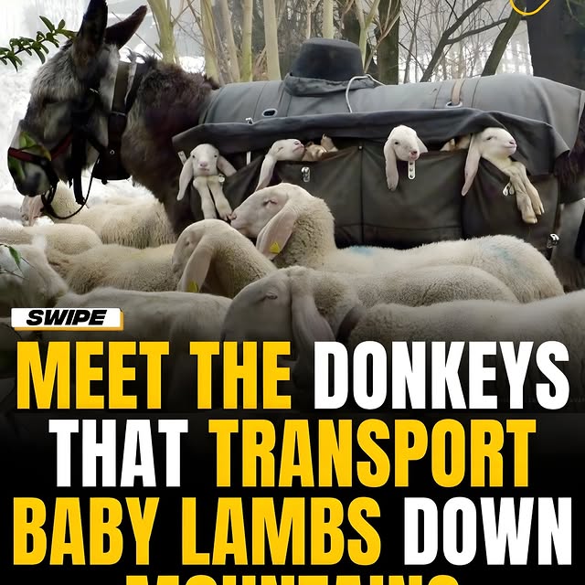  .......onfacts   'recent posts' 