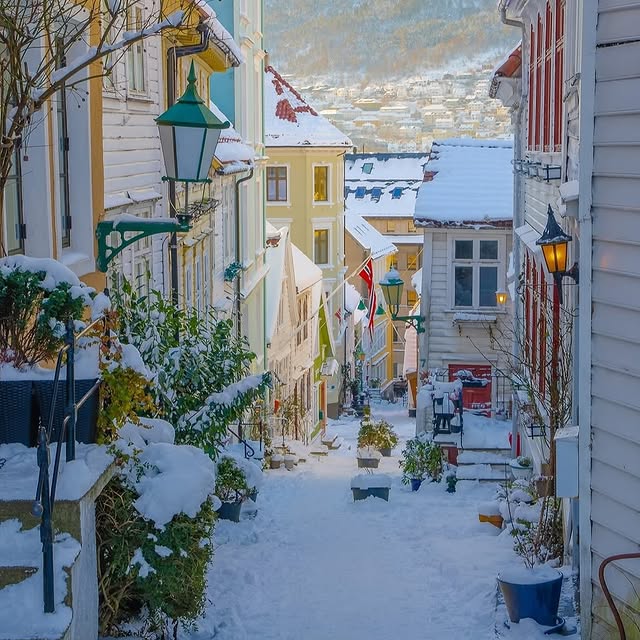  ......pictur   'recent posts' 